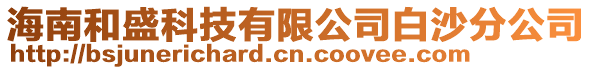 海南和盛科技有限公司白沙分公司