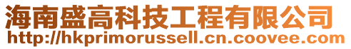 海南盛高科技工程有限公司