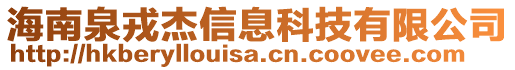 海南泉戎杰信息科技有限公司