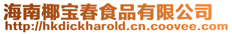 海南椰寶春食品有限公司