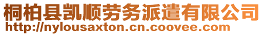 桐柏縣凱順勞務(wù)派遣有限公司