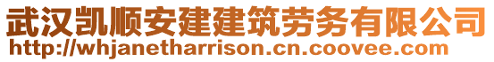 武漢凱順安建建筑勞務有限公司