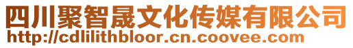 四川聚智晟文化傳媒有限公司