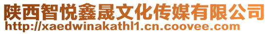 陜西智悅鑫晟文化傳媒有限公司