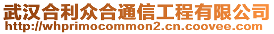 武漢合利眾合通信工程有限公司