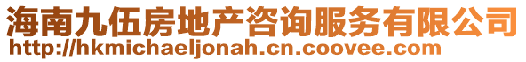 海南九伍房地產(chǎn)咨詢服務(wù)有限公司