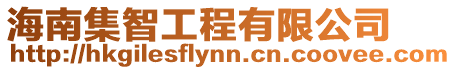 海南集智工程有限公司