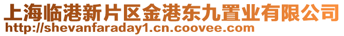 上海臨港新片區(qū)金港東九置業(yè)有限公司