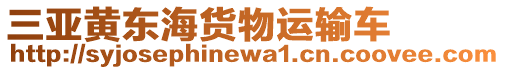 三亞黃東海貨物運輸車