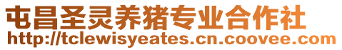 屯昌圣靈養豬專業合作社