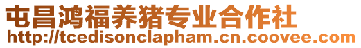 屯昌鴻福養(yǎng)豬專(zhuān)業(yè)合作社