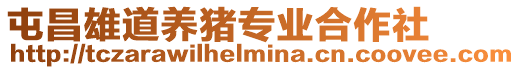 屯昌雄道養豬專業合作社