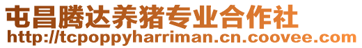 屯昌騰達養豬專業合作社