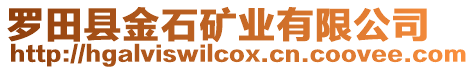 羅田縣金石礦業(yè)有限公司