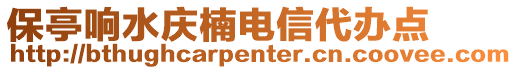 保亭响水庆楠电信代办点