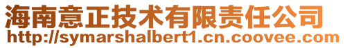 海南意正技术有限责任公司