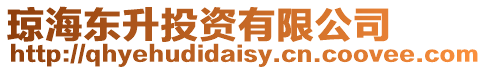 瓊海東升投資有限公司