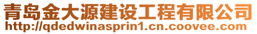 青島金大源建設(shè)工程有限公司