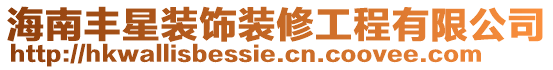 海南豐星裝飾裝修工程有限公司