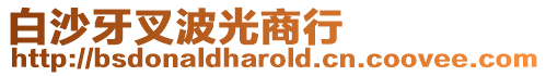 白沙牙叉波光商行
