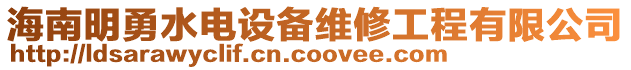 海南明勇水電設(shè)備維修工程有限公司