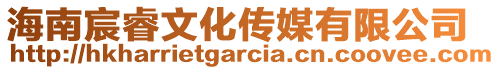 海南宸睿文化傳媒有限公司