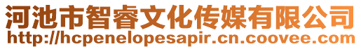 河池市智睿文化傳媒有限公司