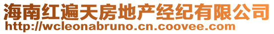 海南紅遍天房地產(chǎn)經(jīng)紀(jì)有限公司