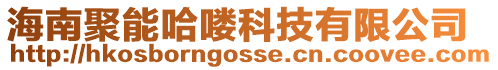 海南聚能哈嘍科技有限公司