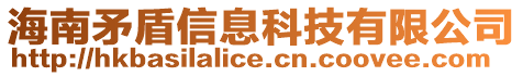 海南矛盾信息科技有限公司