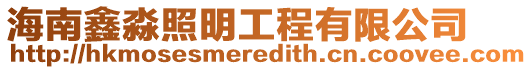 海南鑫淼照明工程有限公司