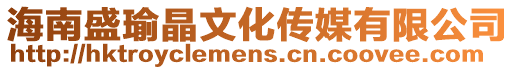 海南盛瑜晶文化傳媒有限公司
