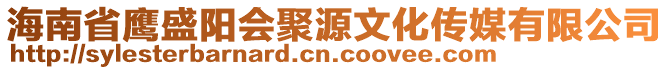 海南省鷹盛陽會聚源文化傳媒有限公司