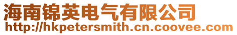 海南錦英電氣有限公司