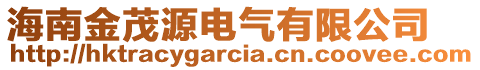 海南金茂源電氣有限公司