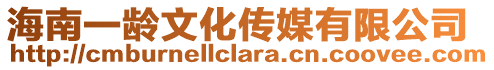 海南一齡文化傳媒有限公司