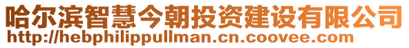 哈爾濱智慧今朝投資建設(shè)有限公司