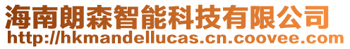 海南朗森智能科技有限公司