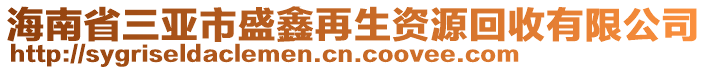 海南省三亞市盛鑫再生資源回收有限公司