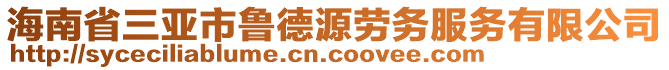 海南省三亞市魯?shù)略磩趧?wù)服務(wù)有限公司