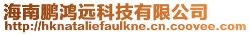 海南鵬鴻遠科技有限公司