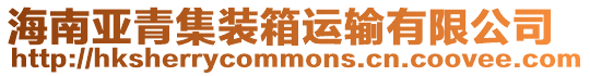 海南亞青集裝箱運(yùn)輸有限公司