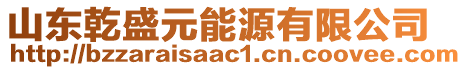 山東乾盛元能源有限公司