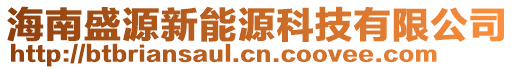 海南盛源新能源科技有限公司