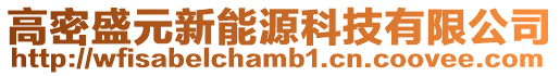 高密盛元新能源科技有限公司