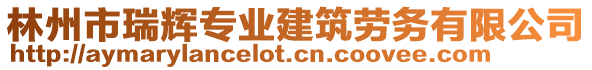 林州市瑞輝專業(yè)建筑勞務(wù)有限公司