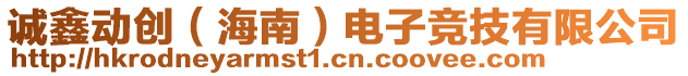 誠鑫動(dòng)創(chuàng)（海南）電子競技有限公司