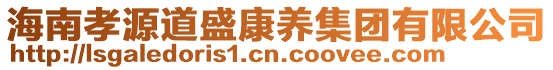 海南孝源道盛康養集團有限公司