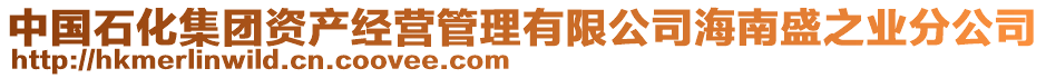 中國(guó)石化集團(tuán)資產(chǎn)經(jīng)營(yíng)管理有限公司海南盛之業(yè)分公司