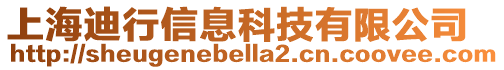 上海迪行信息科技有限公司